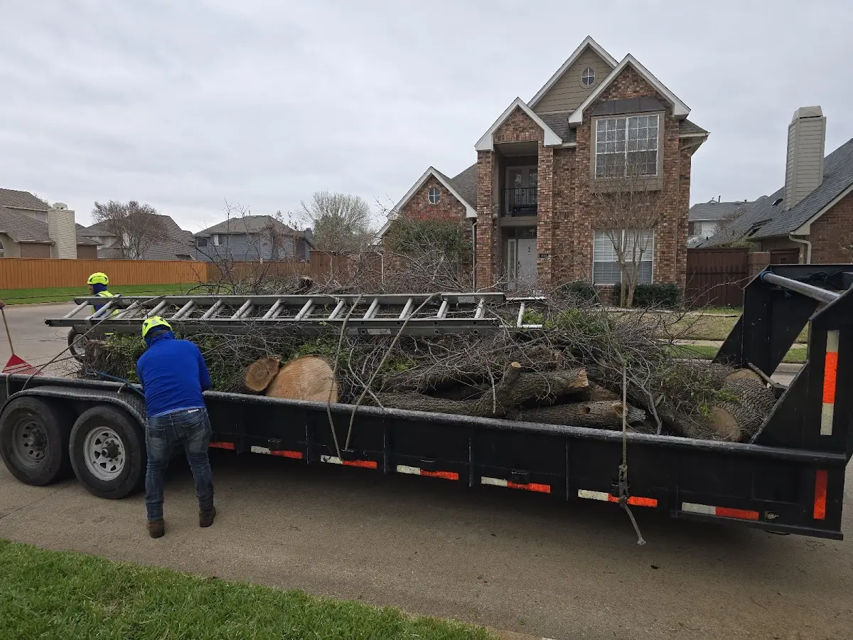 Expert Lot Clearing with proper safety equipment in Huntington